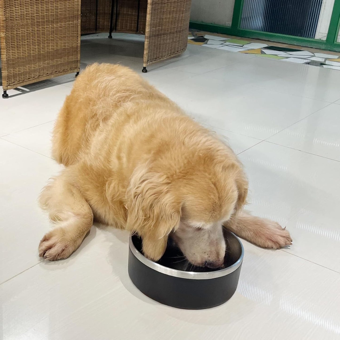 Stainless Steel Dog Bowl, Metal Water and Food Dish for Large Dogs, Insulated Non-Slip Pet Bowl, Easy Clean, 64oz, Black