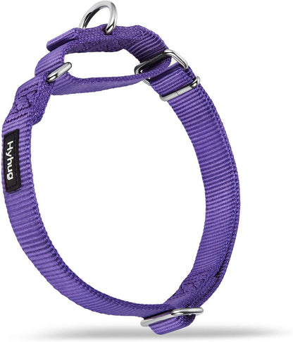 Hyhug Pets Premium Upgraded Heavy Duty Nylon Anti-Escape Martingale Collar for Boy and Girl Dogs Comfy and Safe - Professional Training, Daily Use Walking. (Medium, Ultra Violet)