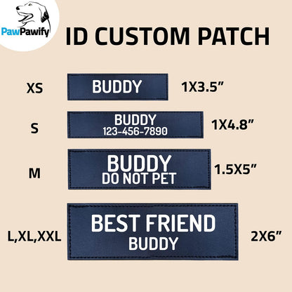 PawPawify Custom No Pull Dog Harness with Name and Phone Number, Heavy Duty Personalized Pet Vest to Prevent Tugging, Pulling, or Choking, Training and Walking (SkyBlue, M (20-40 LBS))