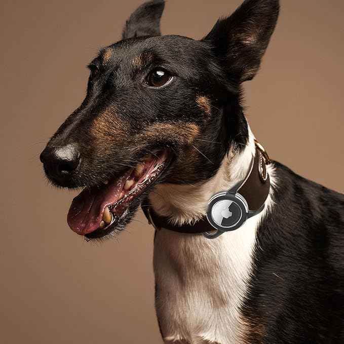Waterproof Airtag Holder for Dog Collar, Soft Full-Body Protective Airtag Holder for Dog & Cat Collars, Ultra-Durable, Easy Installation, Lightweight Clear Airtag Case (White, Large)