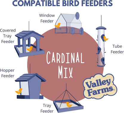 Valley Farms Cardinal Mix 3 LB 2-Pack (6 LB Total) Wild Bird Food for Outside Feeders, Cardinal Bird Seed with Black Oil Sunflower Seeds and Safflower Seeds, Attract a Variety of Wild Birds