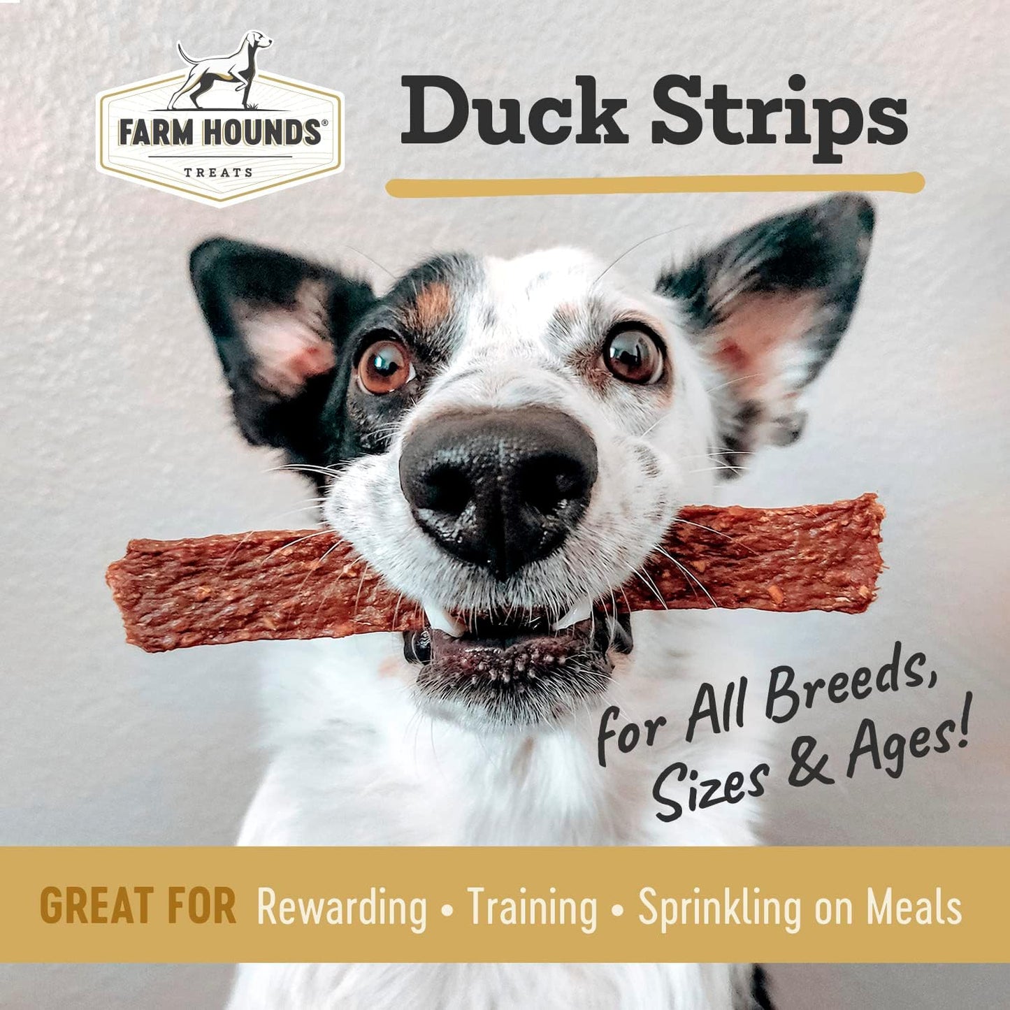 Farm Hounds - Duck Strips - Premium Natural Jerky for Dogs - Made from 100% Humanely Raised Duck - Break-to-Size - Great for Training & Treats - No Added Fillers - Made in USA - 4.5 oz - 1 Pack