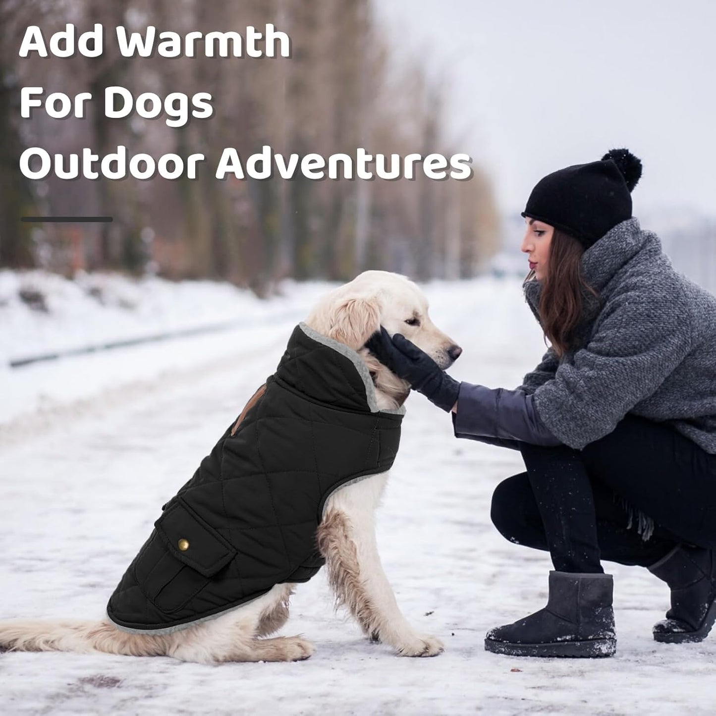 Queenmore Dog Winter Coat Warm Puffer Jacket Waterproof Plush Lining Thermal Cold Weather Vest for Small Medium Large Dogs, Windproof Easy On Pet Jacket Black XL