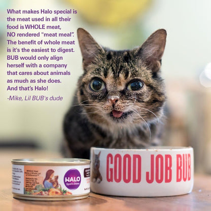 Halo Wet Cat Food Whole Chicken Recipe, Grain Free Wet Cat Pate, Canned Cat Food for Extra Hydration, 5.5 Oz Can (Pack of 12)