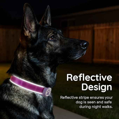 Reflective Dog Collar with IPX8 Waterproof Air TagHolder | Ultra-Durable | Soft Padded | Safety Locking Buckle | Fit Small Dogs (Purple S(9.8"-15.7"))
