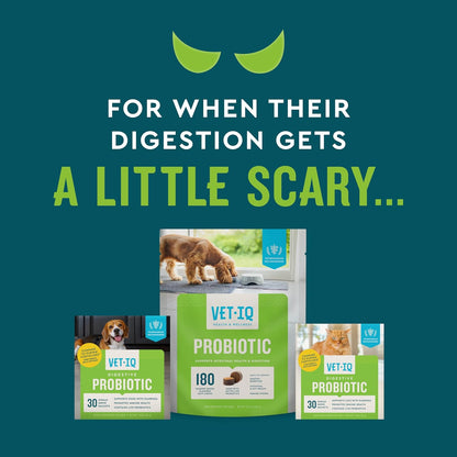VetIQ Probiotic Supplement for Dogs, Digestive Support for Dogs, Nourishes Gut Bacteria and Supports Bowel Function, Hickory Smoke Flavor, Made in The USA, 180 Count
