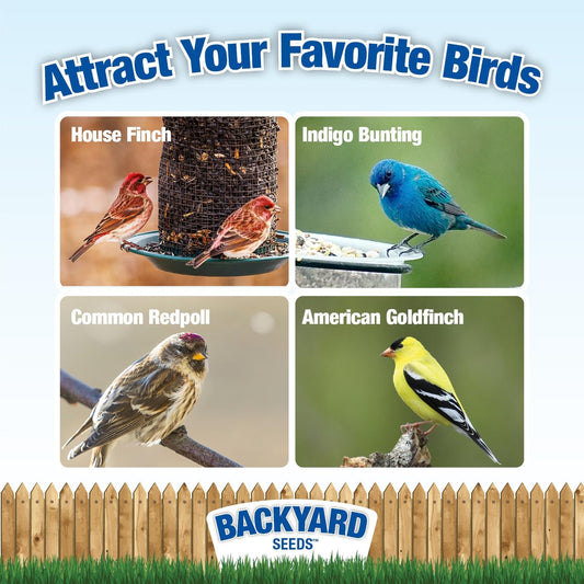 Nyjer Thistle Seed (3)