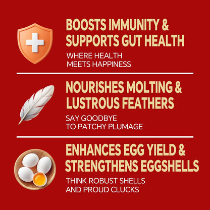 Dried Black Soldier Fly Larvae, Non-GMO, Natural Chicken Treats & High-Protein Poultry Snacks for Backyard Chickens, Laying Hens & Ducks, 2.5 lb Box