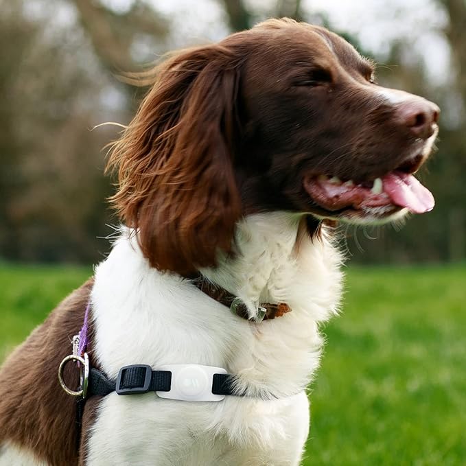 Case-Mate Airtag Dog Collar Holder - Water Resistant Airtag Holder Tag - Protective Case for Pet Collar Loop - Compatible with Cat/Dog Collars - Glow in The Dark