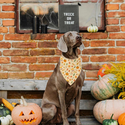 2 Pack Halloween Dog Bandanas Thanksgiving Bandanas Pumpkin Design Reversible Holiday Dog Scarf, Triangle Halloween Bandana for Small Medium Large Dogs Pets