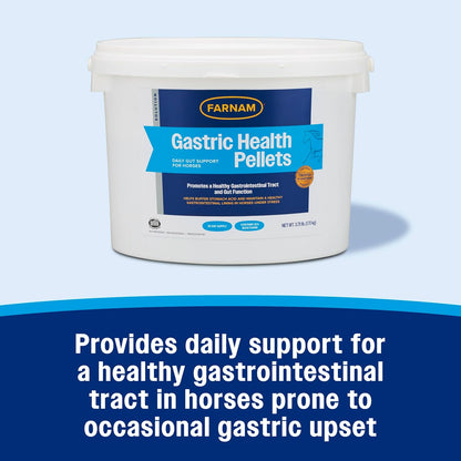 Farnam Gastric Health Pellets, Daily Gut and Digestive Health Supplement for Horses Helps Maintain a Healthy Gastrointestinal Tract and Gut Function