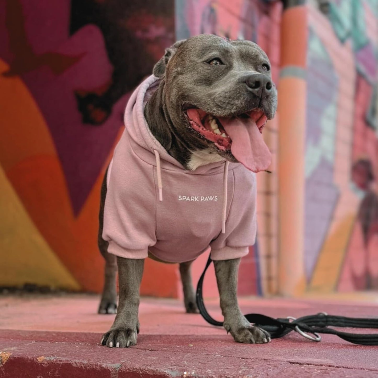 Spark Paws Dog Hoodie – Premium Dog Sweater for Small, Medium, and Large Dogs | Warm Outfits for French Bulldogs, Pitbull, Puppy, Winter Jacket Alternative - Dusty Pink - 2XL