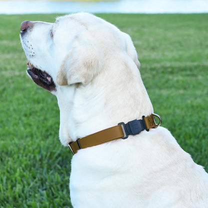 Dogline Biothane Waterproof Dog Collar with Herm Sprenger Stainless Steel Quick Release Buckle – Heavy Duty Tactical Durable Collar for Dogs – Comfortable and Safe Pet Collar, W 1" L 15-25", Brown