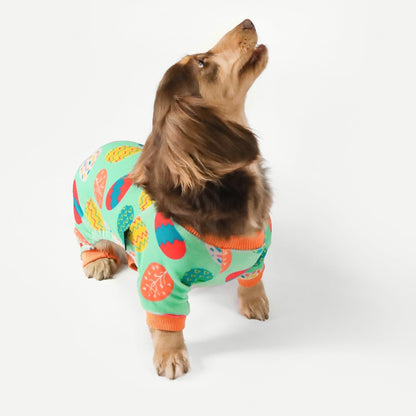 Fitwarm Easter Egg Dog Pajamas, Holiday Dog Clothes for Small Dogs Girl Boy, Pet Easter Outfit, Puppy Cat Onesie, Lightweight Velvet, Light Green, Orange, Large