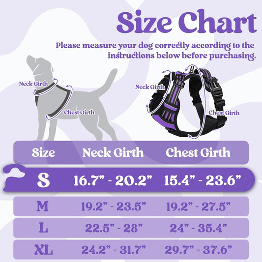 rabbitgoo Dog Harness Small Sized, No Pull Pet Harness with 3 Buckles, Adjustable Soft Padded Vest with Control Handle, Walking Reflective Pet Vest for Small Dogs, Purple, S
