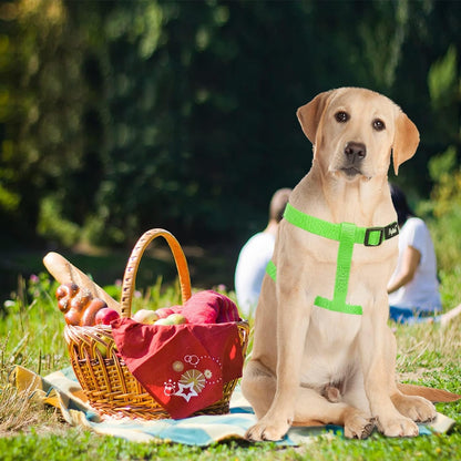 PUPTECK No Pull Dog Harness Soft Adjustable Basic Nylon Step in Puppy Vest Outdoor Walking with ID Tag, Green, L