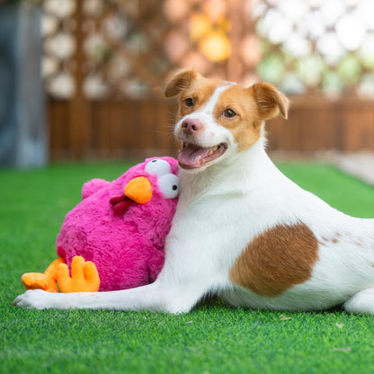 Best Pet Supplies Interactive Squeaky Dog Chew Toy, Ideal Dog Toys for Chewers, Small, Medium & Large Dogs, and Fetch Lovers - Cluck (Fuchsia), Large