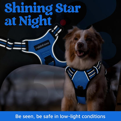 rabbitgoo Dog Harness Small Sized, No Pull Dog Vest with 3 Buckles, Adjustable Soft Padded Pet Harness with Easy Control Handle and Reflective Strips, Blue, S