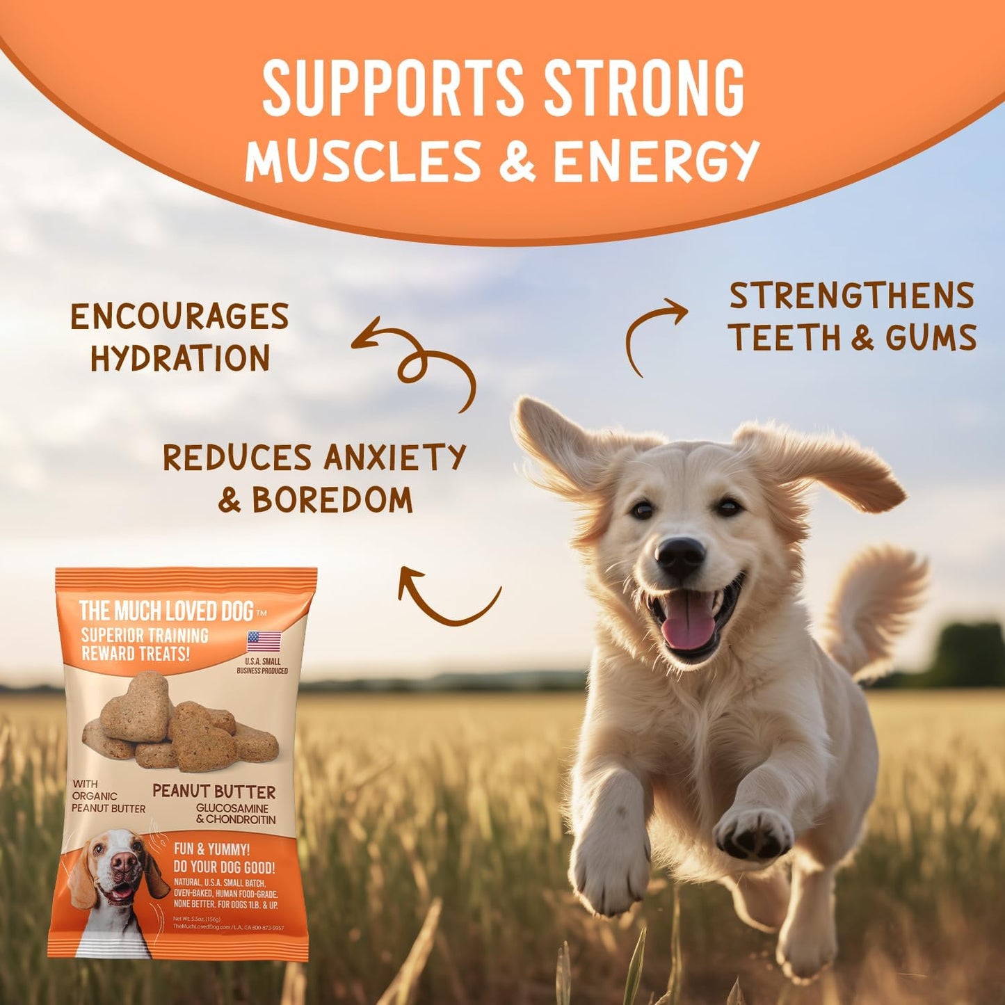 The Much-Loved Dog!™ Peanut Butter Dog Treats – Natural Biscuits for Small Dogs & Large Breeds – Healthy Puppy Treats for small dogs Made in USA, Training Snacks for All Breeds (1 Pack, Peanut Butter)