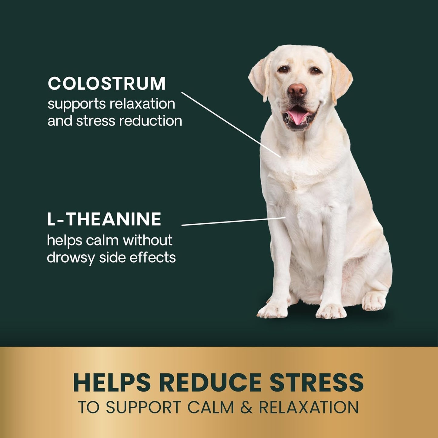 VetriScience Calm & Confident Chews, Composure Clinically Tested Anxiety and Calming Chews for Dogs, Reduce Stress, Ideal for Thunderstorms, Fireworks and Travel, Peanut Butter, 60 Count