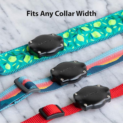 Elevation Lab AirTag Dog Collar Holder - TagVault™ - Secure Thru-Mount, IP69 Waterproof, Doesn't Dangle, Fits All Width Collars