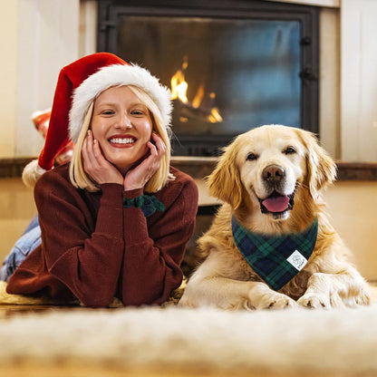 E-Clover Dog Bandanas Boy & Matching Scrunchie Set Plaid Dog Scarf Kerchief for Medium Large Dog Pet Bandana Owner Gifts Blue Green Fall