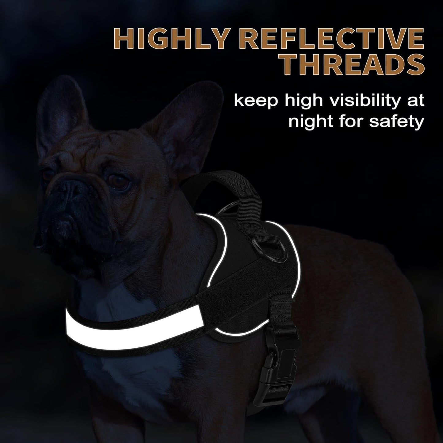 Haapaw Essential Dog Harness, No Pull Pet Vest with 3 Leash Clips, No Choke, Reflective, Adjustable and Padded, for Easy Walking and Training for Small Dogs(XS, Black)