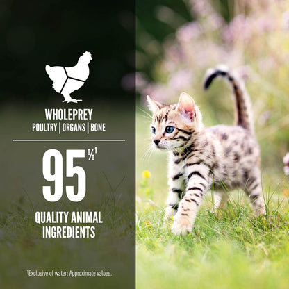 ORIJEN Premium Pate Wet Kitten Cat Food in Bone Broth Chicken & Salmon Entrée 5.5oz Cans (6 Count)