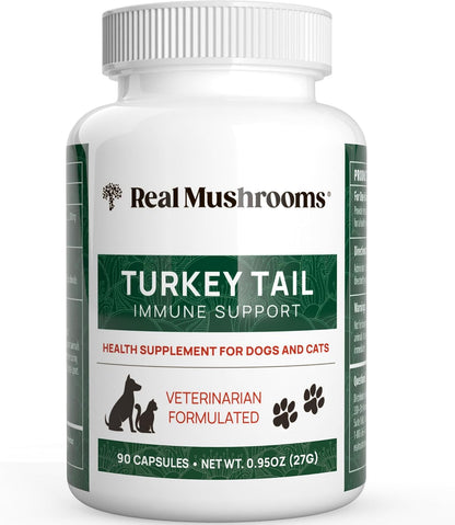 Real Mushrooms Turkey Tail Capsules for Pets –Cat Probiotics & Dog Vitamins – Organic Mushroom Supplement for Dogs & Cats – Supports Daily Balance & Well-Being Non-GMO, 90 ct