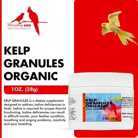 Morning Bird Kelp Granules 1 Oz – Iodine Supplement for Birds – Supports Feather Growth, Molting & Metabolism – Rich in Amino Acids, Trace Minerals & Natural Vitamins – Clean Nutrition for All Birds