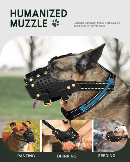 Dog Muzzle, Leather Basket Soft Muzzles Medium Large Breeds, Pitbull Dog Muzzle Amstaff Staffordshire Terrier, German Shepherd Dalmatian Doberman Adjustable (M)