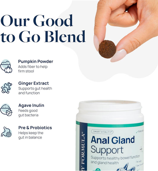 Veterinary Formula Anal Gland Support for Dogs – Vet-Formulated No Scoot Chews with Pumpkin, Ginger, Agave Inulin & Probiotics – Supports Scooting, Stool Quality & Digestive Health, 60 Soft Chews