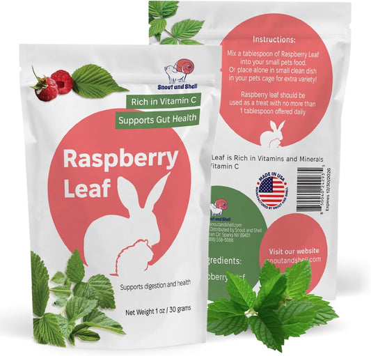 Snout and Shell Raspberry Leaf for Small Pets – 100% Natural Treat for Rabbits, Guinea Pigs, Hamsters & More – Rich in Vitamin C & Supports Gut Health – 1 oz (30g)