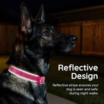 Reflective Dog Collar with Waterproof air tagholder & Anti-Lost QR Code | Ultra-Durable | Soft Padded | Safety Locking Buckle | Fit Large Dogs (Rose Red L(15.7"-23.6"))