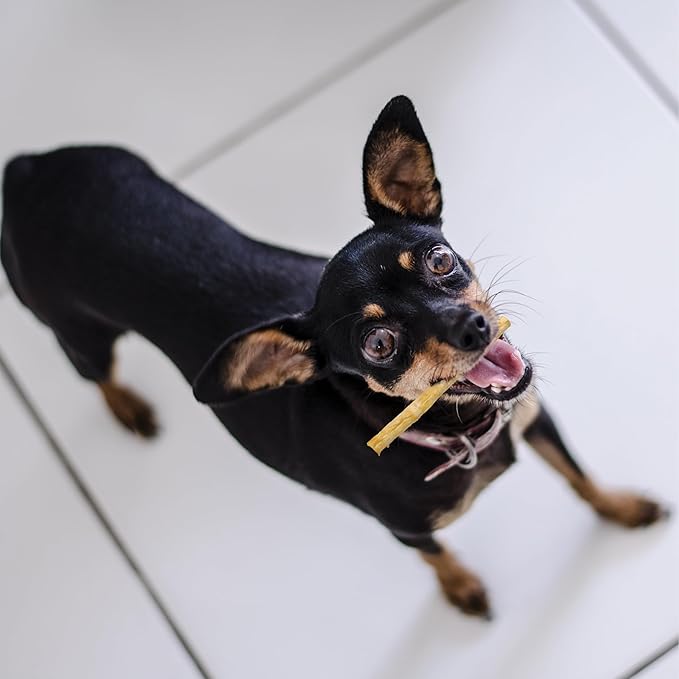 Fieldcrest Farms Nothing to Hide Natural Rawhide Alternative Small Twist Stix for Dogs - (10 Sticks) All Natural Easily Digestible Chews for All Breed Dogs - Great for Dental Health (Pack of 2)