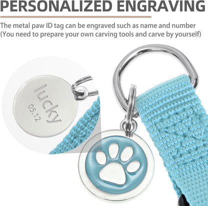 PUPTECK No Pull Dog Harness Soft Adjustable Basic Nylon Step in Puppy Vest Outdoor Walking with ID Tag and A-ir Tag Case, Sky Blue, M