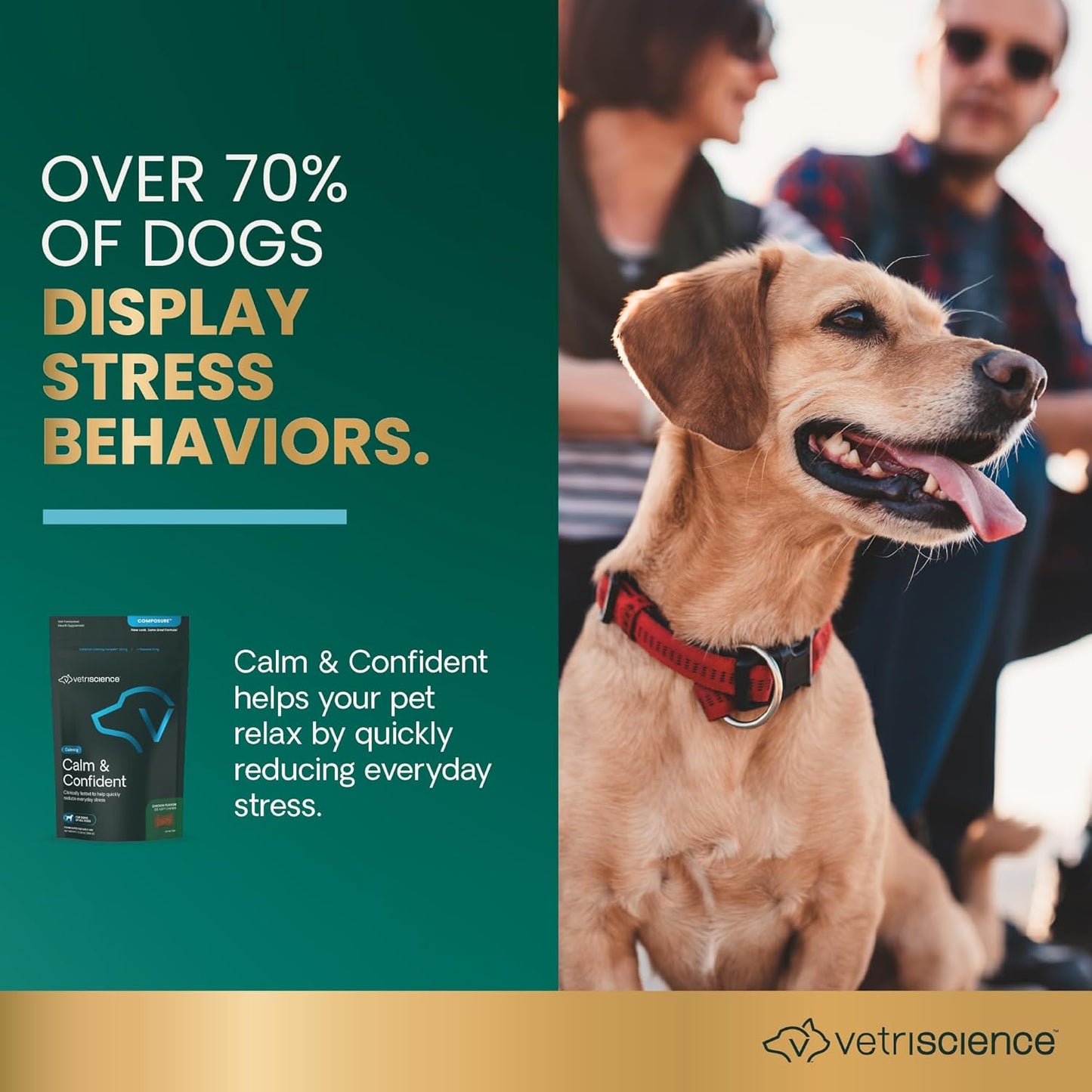 VetriScience Calm & Confident Chews, Composure Clinically Tested Calming Supplement for Dogs, Reduce Stress & Fear, Ideal for Thunderstorms, Fireworks & Travel, Chicken, 120 Count - New Look