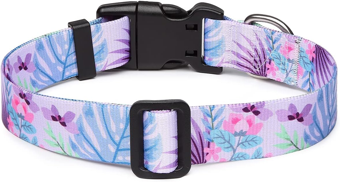 Mercano Adjustable Dog Collar - Special Design Patterns, Soft Nylon Comfortable Durable Pet Collar for Small Medium Large Dogs (XS, Floral Purple)