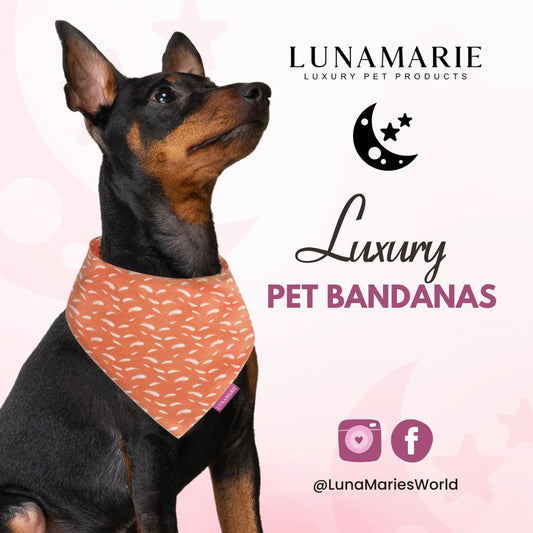 LunaMarie - Luxury Pet Birthday Bandanas -Premium & Silky Poly Fabric | 100% Handmade | Custom Shape Dual Layered (Orange Feathers, Medium)