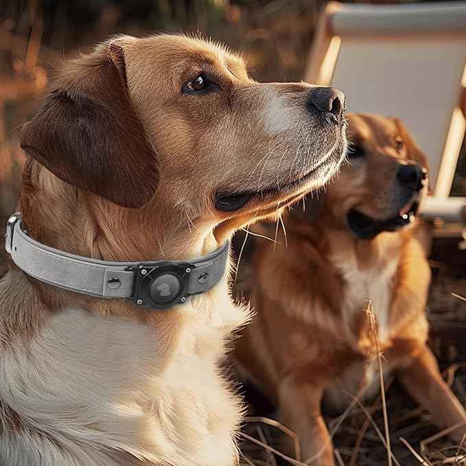 Leather AirTag Dog Collar, Waterproof Dog Collar with Air Tag Holder, Compatible with Apple Air Tag, Reflective, Durable, Comfortable Padded GPS Dogs Collars (Grey, XL)