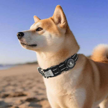 Airtag Dog Collar with QR Code, Reflective Dog Collar with Airtag Holder, Soft Padded & Safety Locking Buckle Adjustable Dog Collar for Small Dogs
