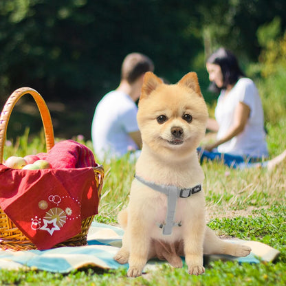 PUPTECK No Pull Dog Harness Soft Adjustable Basic Nylon Step in Puppy Vest Outdoor Walking with ID Tag, Grey, XS