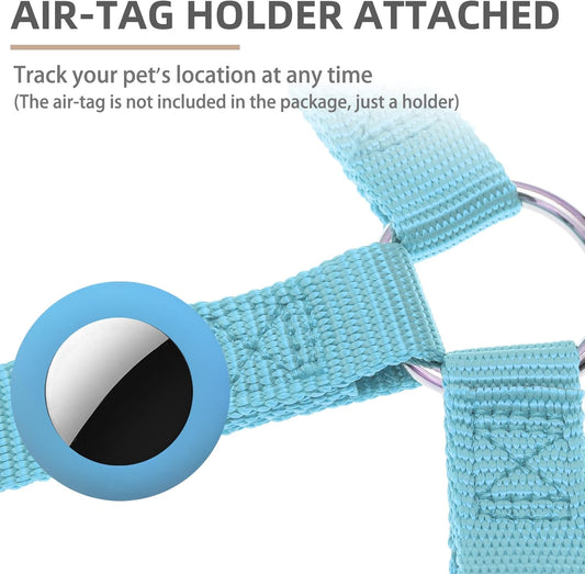 PUPTECK No Pull Dog Harness Soft Adjustable Basic Nylon Step in Puppy Vest Outdoor Walking with ID Tag and A-ir Tag Case, Sky Blue, S