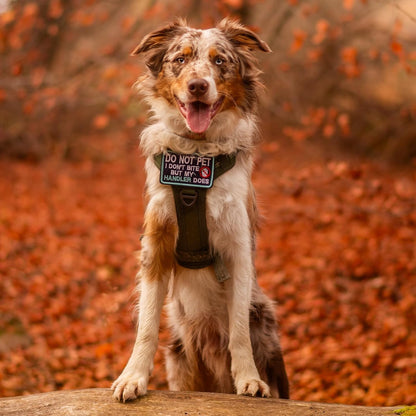 rabbitgoo Dog Harness Medium Sized No Pull, Tactical Service Pet Vest with Molle and Control Handle, Adjustable and Reflective Military Harness for Easy Walking and Training, Brown camo, M