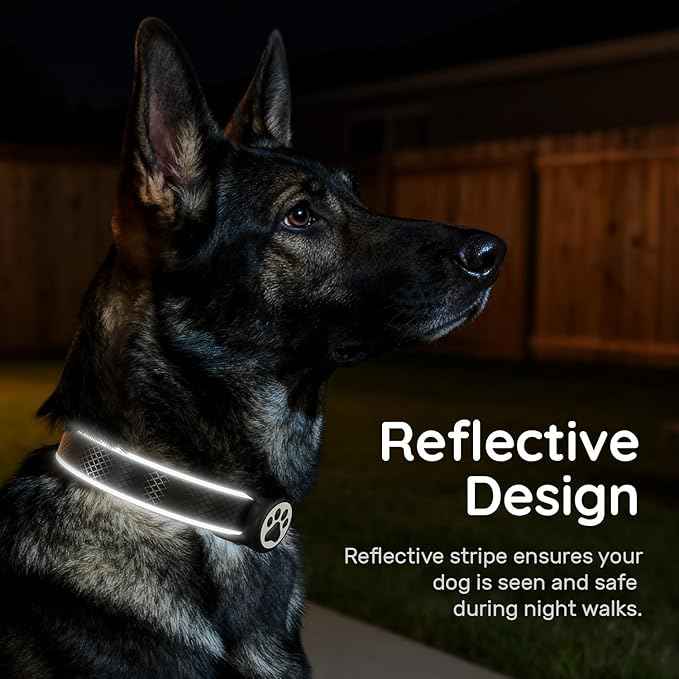 Airtag Dog Collar, IPX8 Waterproof Air Tag Dog Collar Holder | Reflective Ultra-Durable | Soft Padded | Safety Locking Buckle | Fit Miedium Dogs (Black M(12.6"-19.6"))