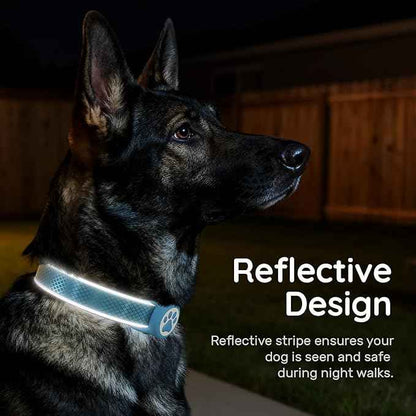 Reflective Dog Collar with Waterproof Airtag Holder & Anti-Lost QR Code | Ultra-Durable | Soft Padded | Safety Locking Buckle | Fit Small Dogs (Blue S(9.8"-15.7"))