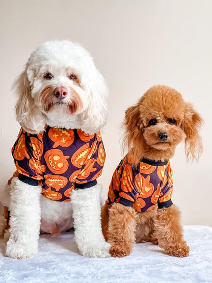 Fitwarm Halloween Pumpkin Dog Pajamas, Funny Dog Winter Clothes for Small Dogs Girl Boy, Pet Jumpsuit, Cat Halloween Costumes with Feet, Lightweight Velvet, Black, Orange, Medium