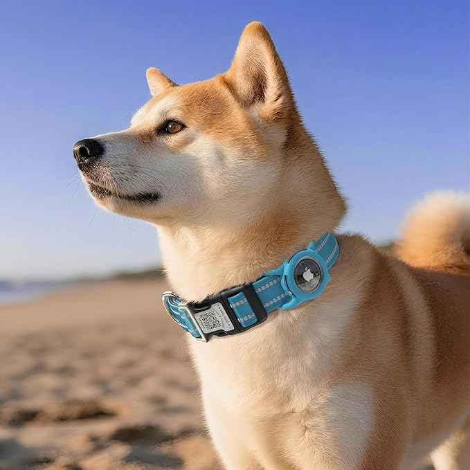 Airtag Dog Collar with QR Code, Reflective Dog Collar with Airtag Holder, Soft Padded & Safety Locking Buckle Adjustable Puppy Collar