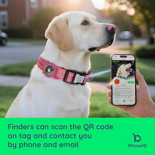 Airtag Dog Collar with QR Code, Reflective Dog Collar with Airtag Holder, Soft Padded & Safety Locking Buckle Adjustable Dog Collar for Large Dogs