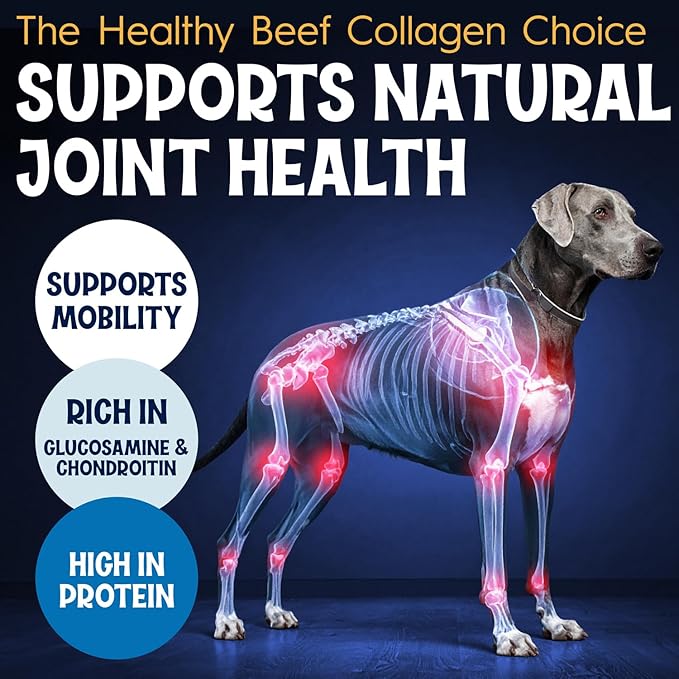 12" Collagen Sticks for Dogs – Low Odor Long-Lasting Bully Stick & Rawhide Alternative, Single Ingredient Beef Bone, High Protein Dental Treat, Vet Approved, Improves Joint Health – 5 Pack